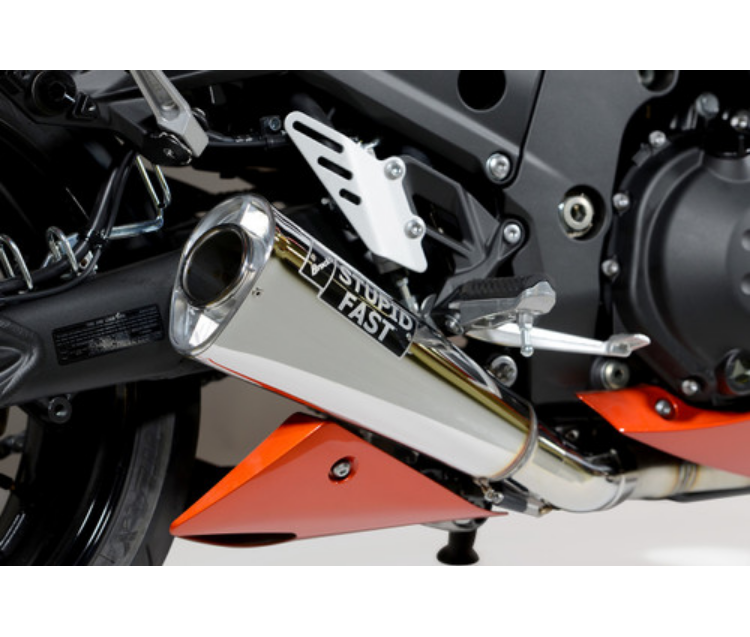 Alien Head 2 Full System 14" Muffler ZX-14R (12-25)