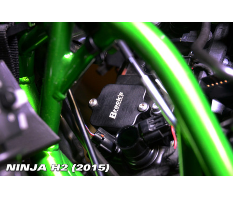 PAIR Block Off Plates Ninja H2, Z H2, ZX-14/R, ZX-10R, Z900/RS