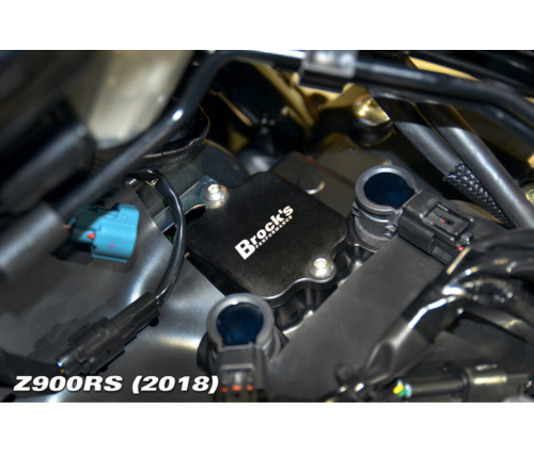 PAIR Block Off Plates Ninja H2, Z H2, ZX-14/R, ZX-10R, Z900/RS